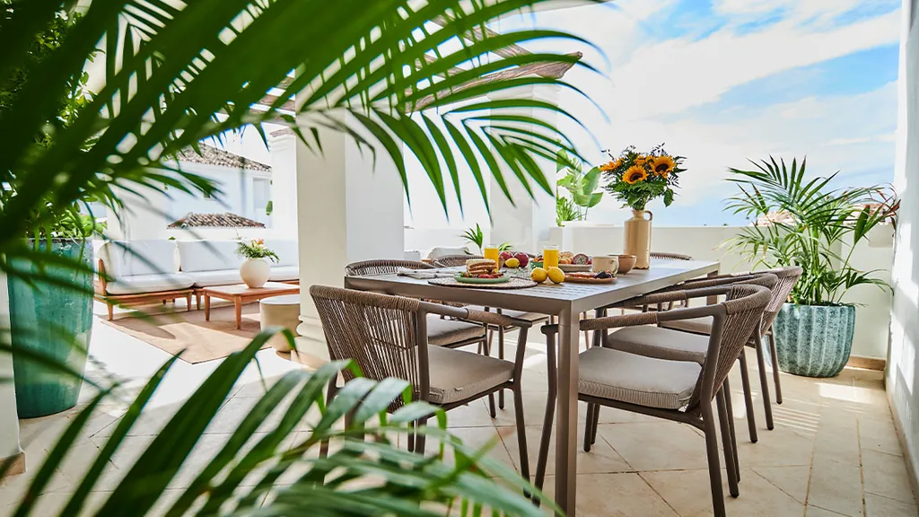 aloha-interior-3.webp